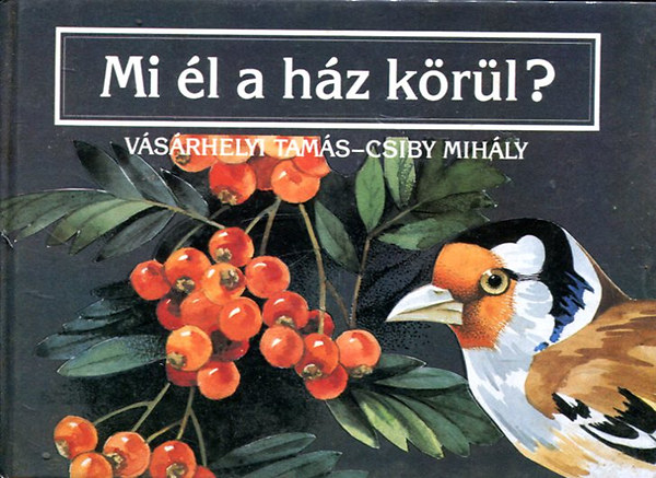 Vsrhelyi-Csiby - Mi l a hz krl?