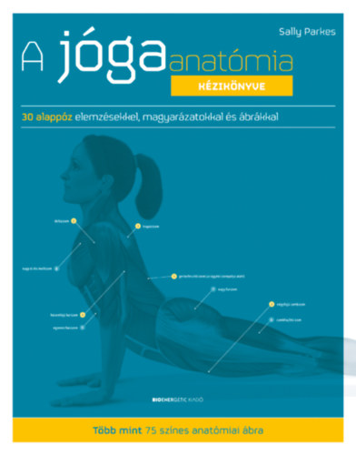 Sally Parkes - A j�gaanat�mia k�zik�nyve