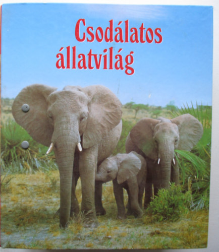 Csodlatos llatvilg 2. Madarak