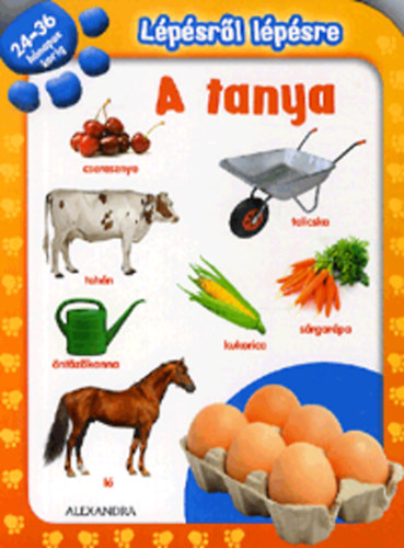 Lpsrl lpsre: A tanya - 24-36 hnapos korig