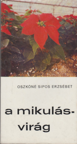Oszkn Sipos Erzsbet - A mikulsvirg