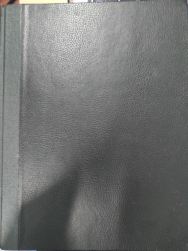 Sz�k�csn� Vida M�ria - Gyermekm�v�szet Jap�nban