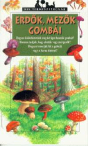 Nicole Bustarret - Erdk, mezk gombi