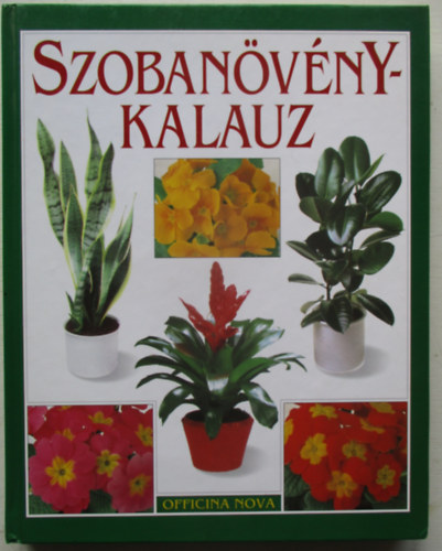 Friedhelm Bechthold - Szobanvnykalauz