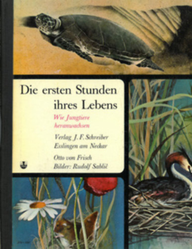 Rudolf Sabli (Sablic) (illus.), Otto von Frisch - Die Ersten Stunden ihres Lebens: Wie Jungtiere heranwachsen