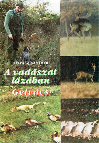 Lovsz Sndor - A vadszat lzban - Gelvcs