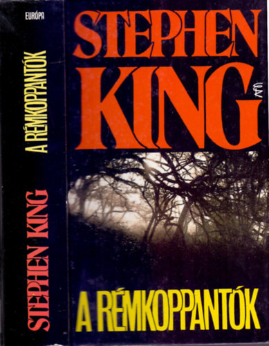 Stephen King, Sznt Pter (ford.) - A rmkoppantk (The Tommyknockers) - Sznt Pter fordtsban