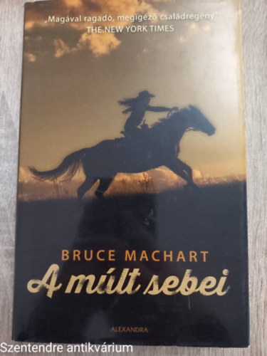 Bruce Machart - A múlt sebei