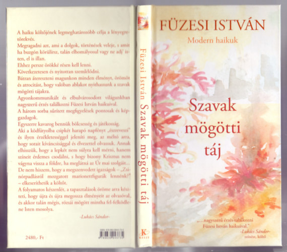 F�zesi Istv�n - Szavak m�g�tti t�j - Modern haikuk (Beny� Gabriella illusztr�ci�ival)