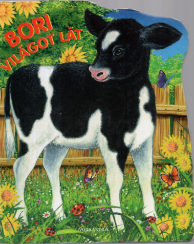 Berowska, Marta - Bori vilgot lt