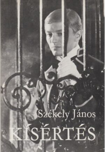 Szerző Székely János John Pen Szerkesztő Imre Katalin - Kísértés (John Pen) - Negyedik kiadás