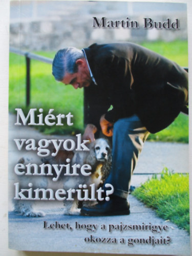 Martin Budd - Miért vagyok ennyire kimerült?