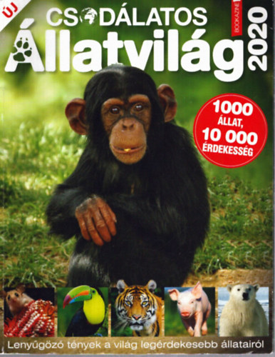 F�les Bookazine: Csod�latos �llatvil�g 2020
