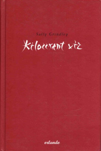 Sally Grindley - Kiloccsant víz