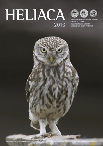 Heliaca 2016