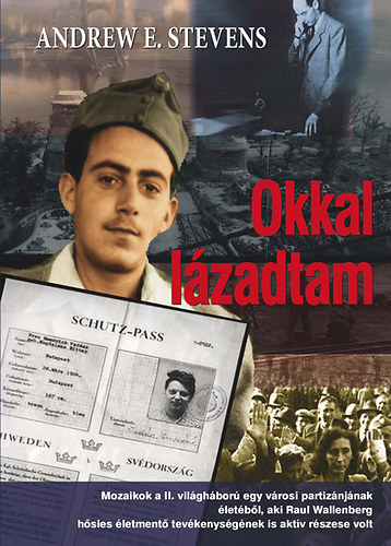 Andrew Stevens - Okkal lázadtam