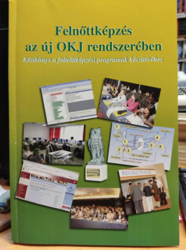 Borsi rpd, Dr. Lakos Istvn - Felnttkpzs az j OKJ rendszerben: Kziknyv a felnttkpzsi programok ksztshez