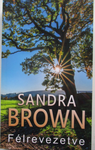 Sandra Brown - Félrevezetve