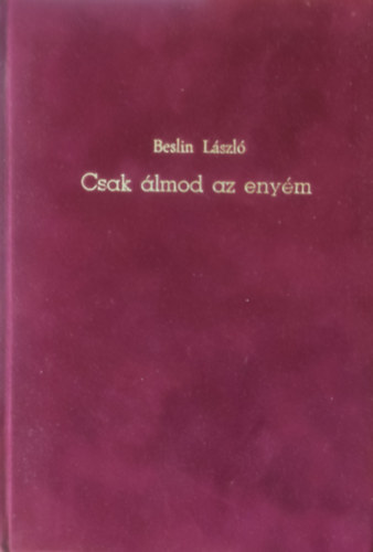 Beslin László - Csak álmod az enyém