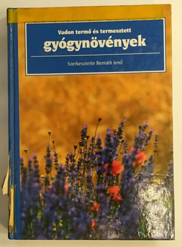 Bernth Jen - Vadon term s termesztett gygynvnyek
