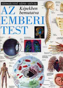 Chez Picthall - Az emberi test k�pekben bemutatva (Szeml�ltet� k�pes sz�t�r)