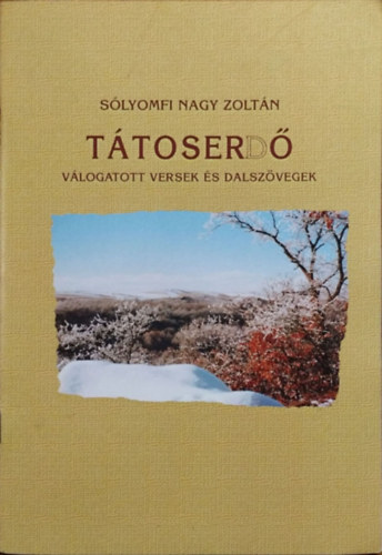 Slyomfi Nagy Zoltn - Ttoserd - Vlogatott versek s dalszvegek