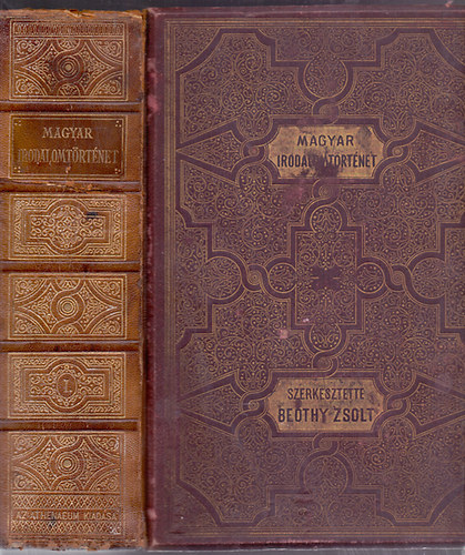 Beöthy Zsolt-Badics Ferenc (szerk.) - Képes magyar irodalomtörténet - A magyar irodalom története I. kötet