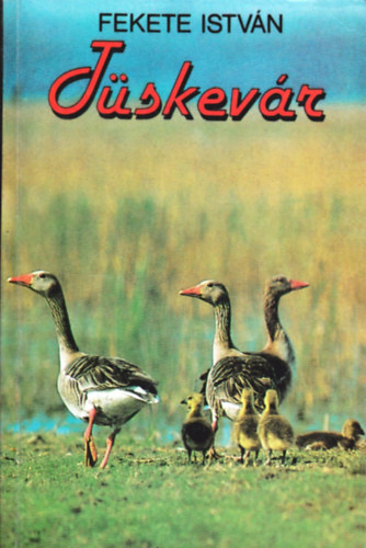 Fekete Istvn - Tskevr