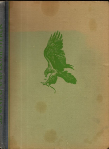 Homoki Nagy István - Szárnyas vadászmesterek (Fotoriport a vadászmadarakról)