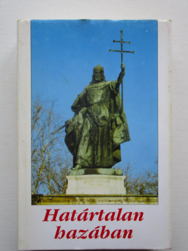 Dvid Gyula- Veress Zoltn (szerk) - Hatrtalan hazban (Ezredforduls tprengsek)