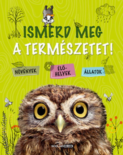 Angelika Lenz - Ismerd meg a termszetet!