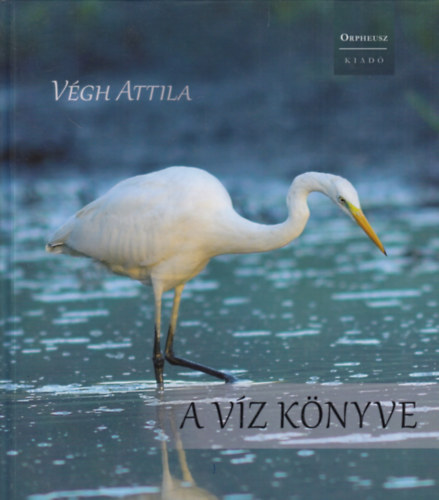 Vgh Attila - A vz knyve