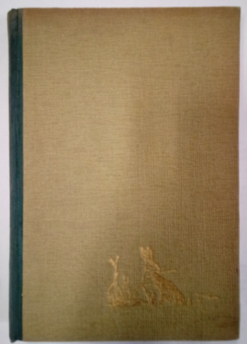 Felix Salten - Tizen�t nyulacska