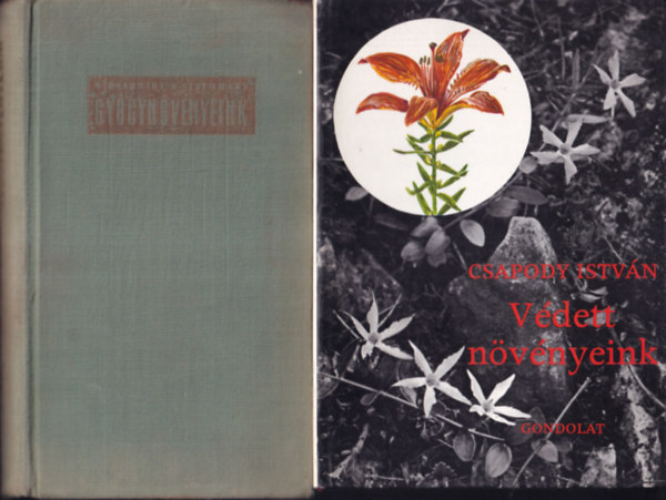 Szerz� Csapody Istv�n Szerkeszt� B�r� S�ndor Grafikus Csapody Vera Lektor Simon Tibor Fot�zta Vajda Ern� Vajda L�szl� - V�dett n�v�nyeink     - Bevezet�s: A n�v�nyfajok v�delme - �ltal�nos r�sz: Alapfogalmak - Magyarorsz�g v�dett n�v�nyfajainak n�vsora, tudom�nyos neveik bet�rendj�ben