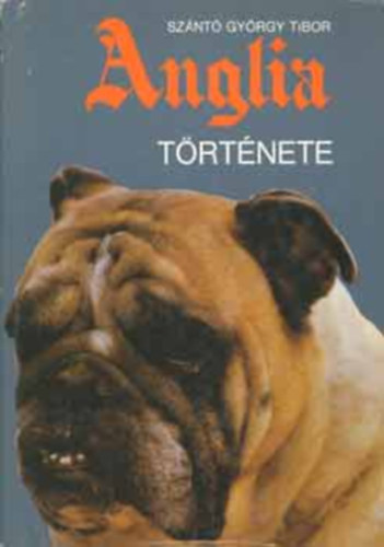 Sznt Gyrgy Tibor - Anglia trtnete - Maecenas trtnelmi knyvek