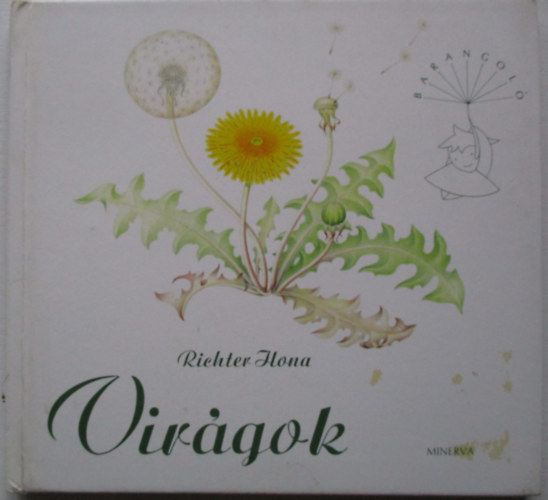 Richter Ilona - Virgok