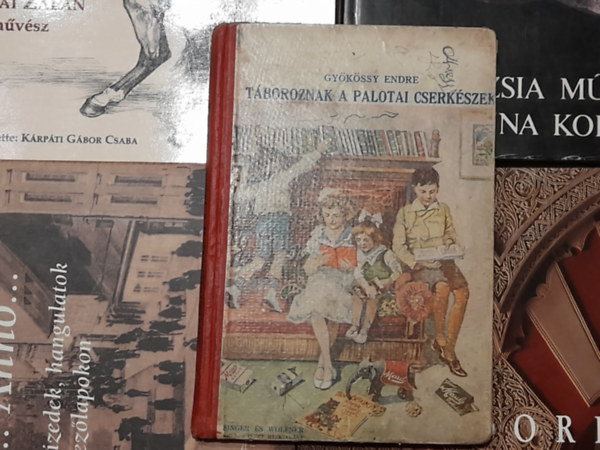 Dr. Gykssy Endre - Tboroznak a palotai cserkszek