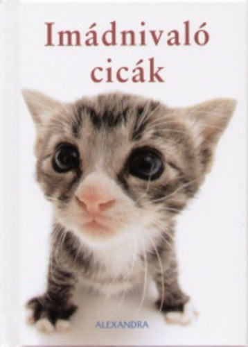 Stuart s Linda Macfarlane - Imdnival cick