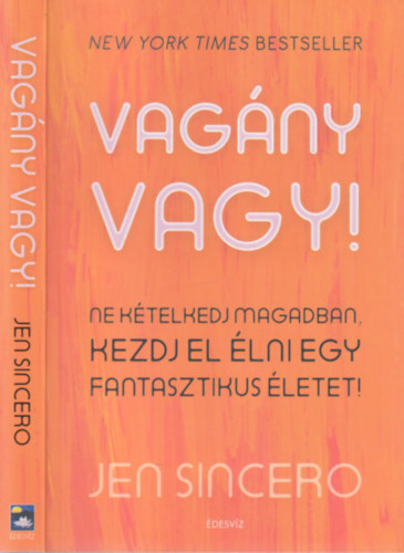 Jen Sincero - Vagny vagy!