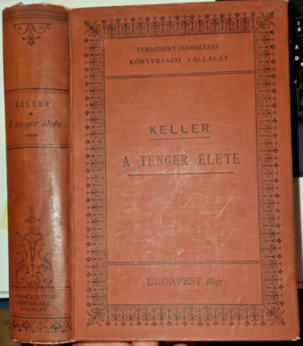 Keller Ervin - A tenger lete