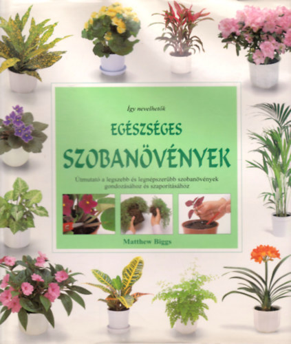 Matthew Biggs - �gy nevelhet�k eg�szs�ges szoban�v�nyek