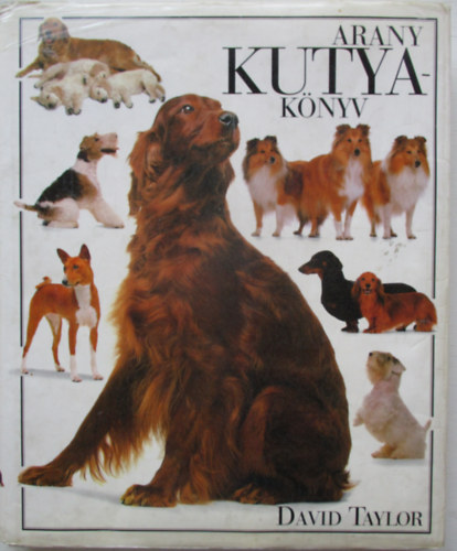 David Taylor - Arany kutyakönyv