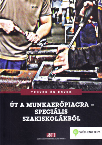 Mártonfi György (szerk.) - Út a munkaerőpiacra - speciális szakiskolákból