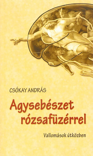 Cskay Andrs - Agysebszet rzsafzrrel - Vallomsok tkzben