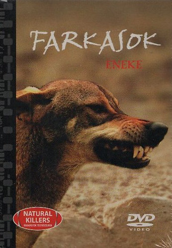 Farkasok neke (Ragadozk testkzelben 14.)