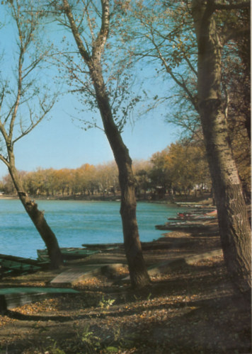 H�dmez�v�s�rhely -Hungalu A.Sz.Gy. kiadv�nya