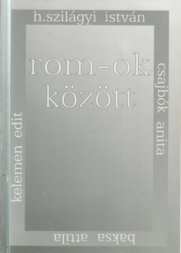 Csajb�k Anita, Kelemen Edit, H. Szil�gyi Istv�n, Baksa Attila - Rom-ok k�z�tt - Egy tisza�jv�rosi kuk�z� roma csal�d antropol�giai vizsg�lata