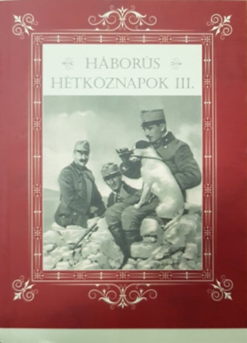 Trk Rbert, Zvodi Szilvia (szerk) - Hbors Htkznapok III. - Tanumnyktet