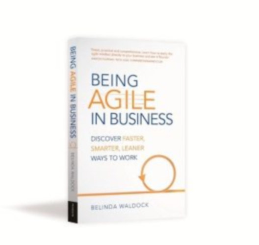 by Belinda Waldock (author) - Being Agile in Business  --  (Discover faster, smarter, learner ways to work)
