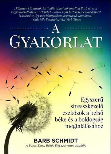 Barb Schmidt - A Gyakorlat